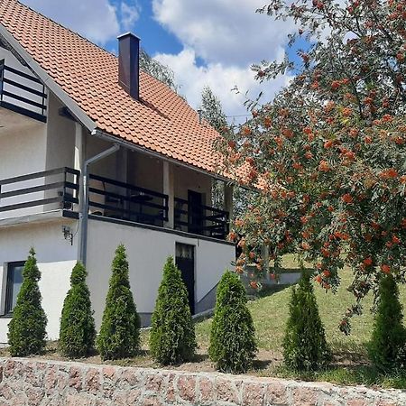 Kuca Sa Pogledom Na Tornik Villa Златибор Екстериор снимка